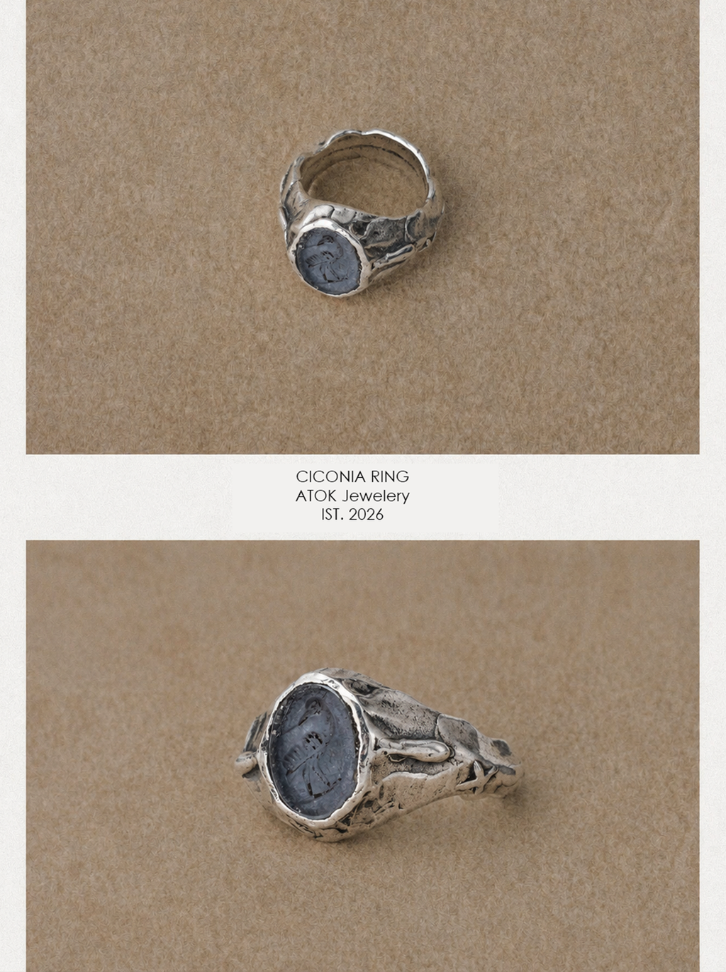 Ciconia Ring
