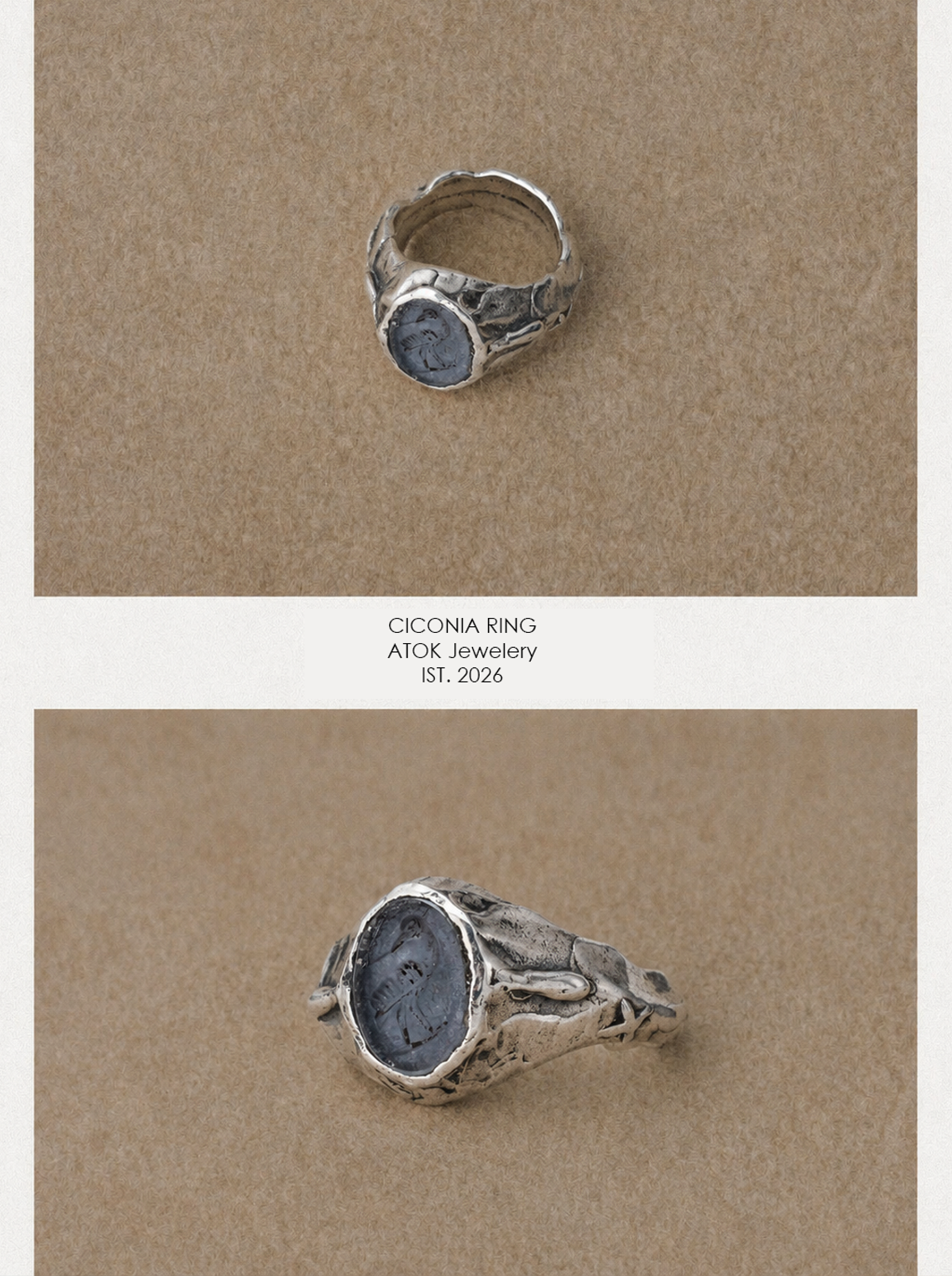 Ciconia Ring